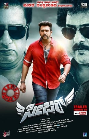 Seizer 2018 Movie Hindi Dubbed 350MB