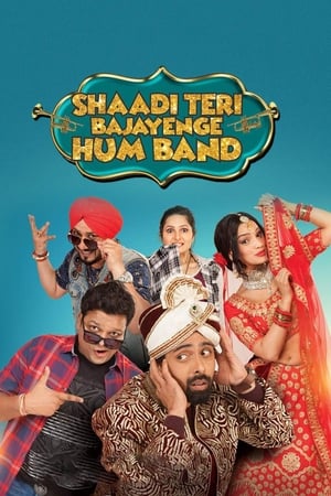 Shaadi Teri Bajayenge Hum Band (2018) Movie [1.2GB]