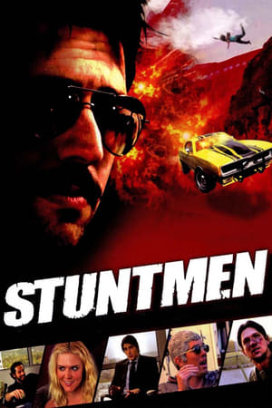 Stuntmen 2009 Hindi Dual Audio [800MB]
